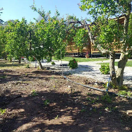 Fidelya Evleri Lejlighedshotel *