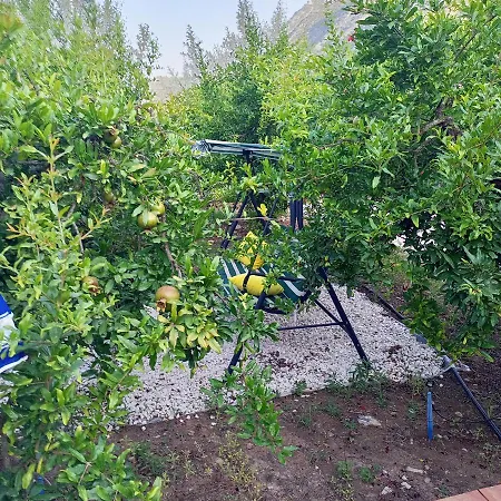 Fidelya Evleri 아파트호텔