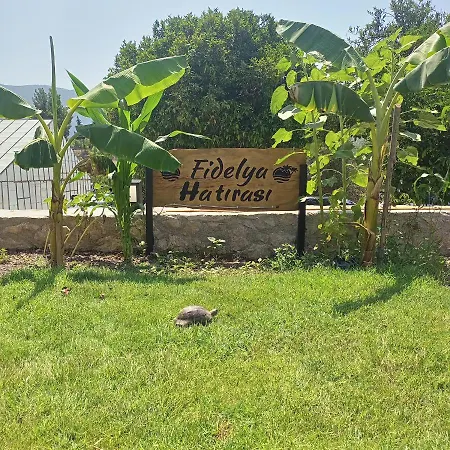 Fidelya Evleri شقة فندقية